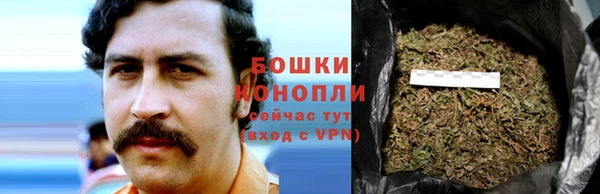 ALPHA PVP Богородицк